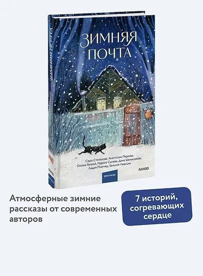 Зимняя почта - фото 4