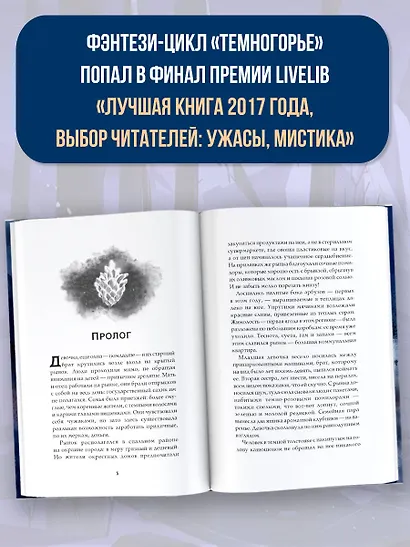 Темногорье. Пропавшая дверь - фото 5