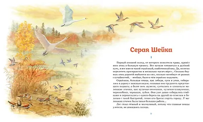 Серая шейка. Рассказы - фото 4