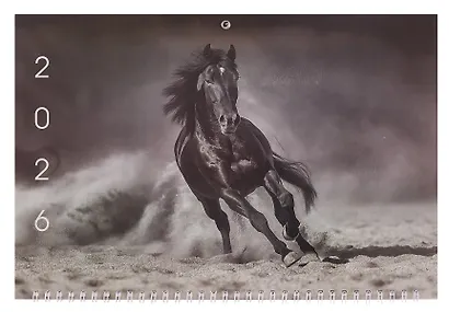 Календарь квартальный 2026г 305*680 "Вороная лошадь" настенный, трёхблочный, спираль - фото 2