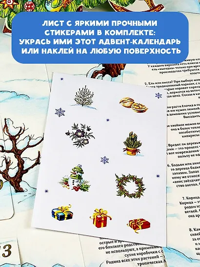 Адвент-календарь. Новогодняя ботаника: прогулка по зимнему лесу - фото 7