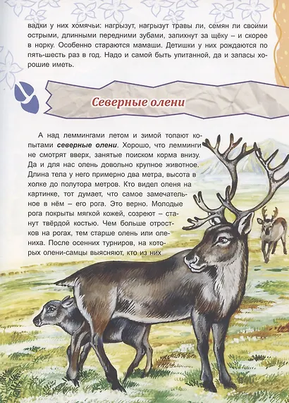 Там, на неведомых дорожках… - фото 3