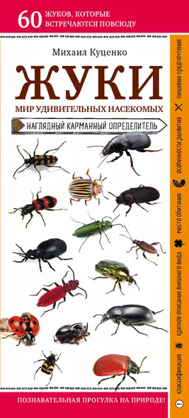 Жуки. Мир удивительных насекомых. Наглядный карманный определитель - фото 1