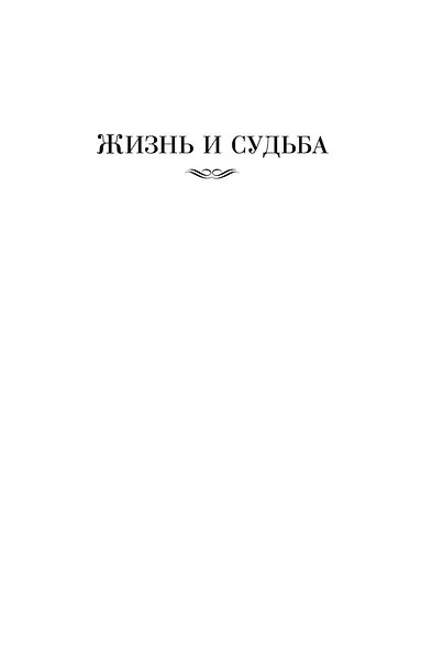 Жизнь и судьба - фото 12