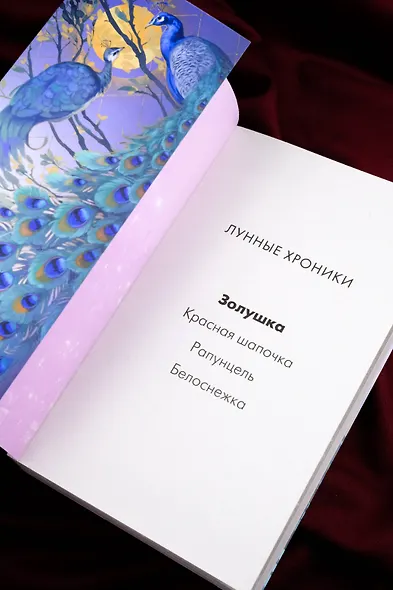 Золушка - фото 11