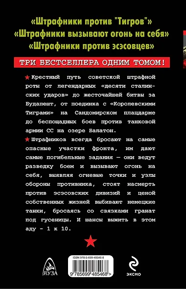 Штрафбат.Крестный путь штрафников. Смыть вину кровью! - фото 2