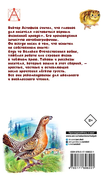 Белогрудка. Рассказы для детей - фото 2