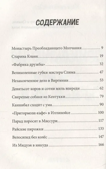 Приключения девочки по имени Вел - фото 2