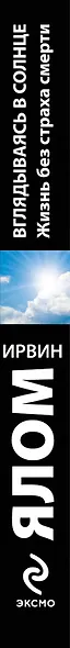 Вглядываясь в солнце. Жизнь без страха смерти - фото 4