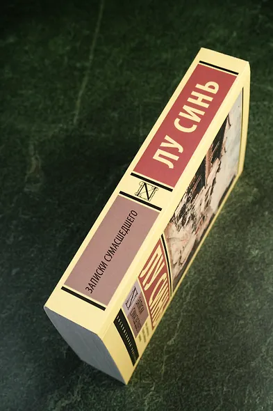 Записки сумасшедшего - фото 6