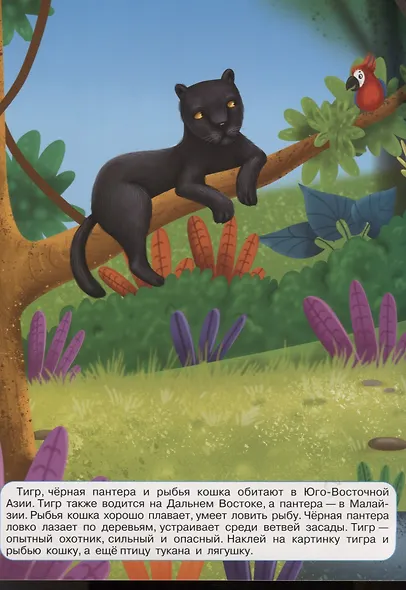 Дикие кошкин - фото 2