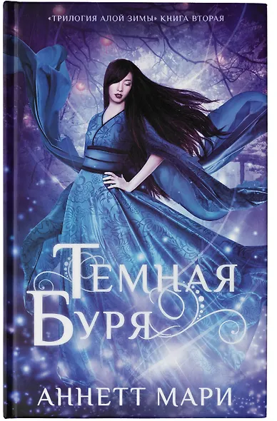 Темная буря - фото 4