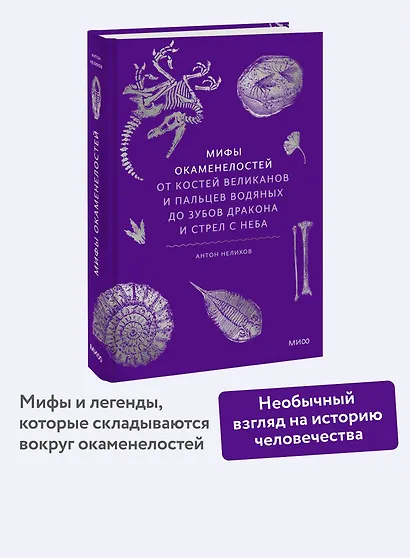 Мифы окаменелостей. От костей великанов и пальцев водяных до зубов дракона и стрел с неба - фото 4