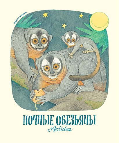 Гениальные глаза - фото 4