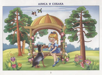 Фонетические рассказы с картинками. Свистящие звуки. Методическое пособие с иллюстрациями по развитию речи. 5-7 лет - фото 3