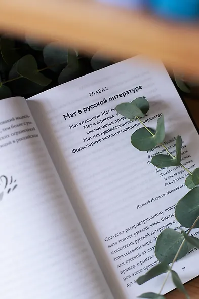 Запретные слова. Заметки лингвистов о русском мате - фото 10