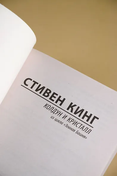 Колдун и кристалл: из цикла "Темная Башня" - фото 11