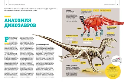 Гигантская энциклопедия динозавров - фото 13