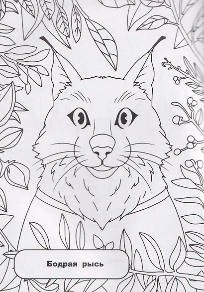Лесная компания: раскрашивай и придумывай истории про озорных животных - фото 5