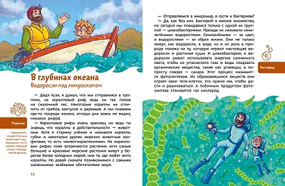 Растения и грибы. Детская энциклопедия (Чевостик) - фото 10
