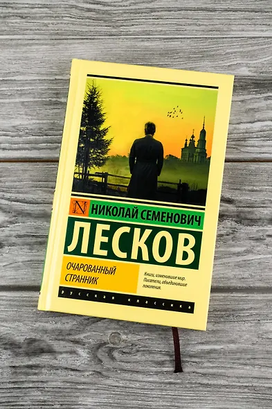 Очарованный странник - фото 4