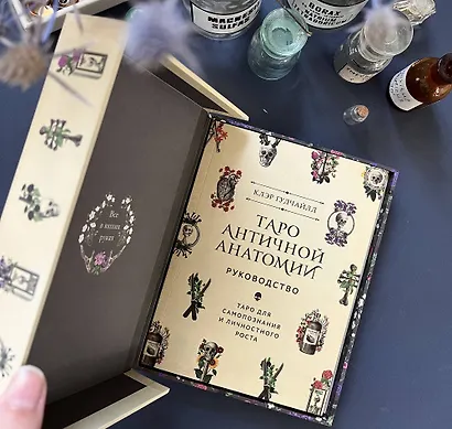 Antique Anatomy Tarot. Таро античной анатомии - фото 3