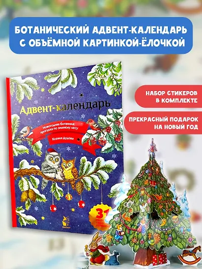 Адвент-календарь. Новогодняя ботаника: прогулка по зимнему лесу - фото 2