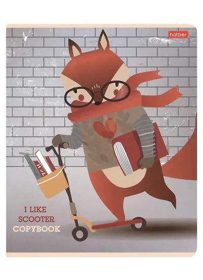 Тетрадь в клетку Hatber, I Like Sсooter, 48 листов, в ассортименте - фото 1