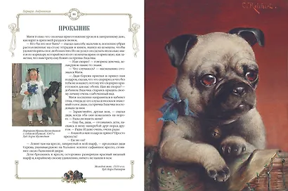 Лохматые истории.  Рассказы о собаках - фото 11