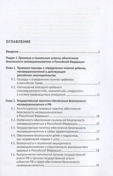 Правовые и социальные аспекты обеспечения безопасности несовершеннолетних в Российской Федерации. Монография - фото 2