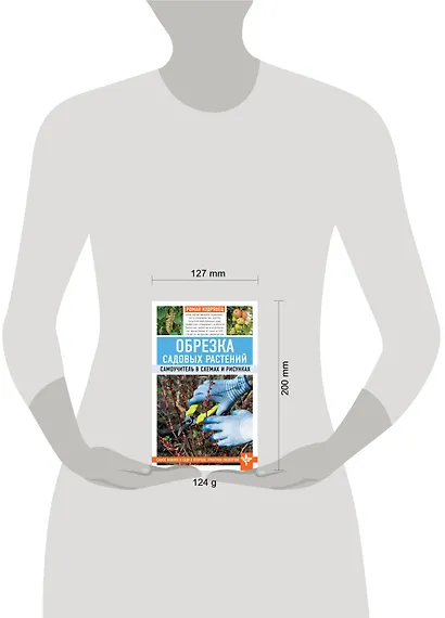 Обрезка садовых растений. Самоучитель в схемах и рисунках - фото 4