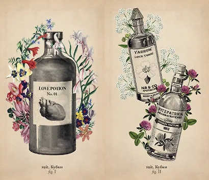 Antique Anatomy Tarot. Таро античной анатомии - фото 11