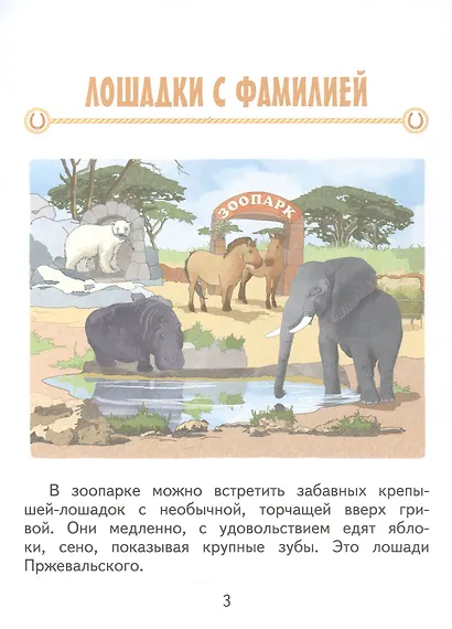 Николай Пржевальский - фото 3