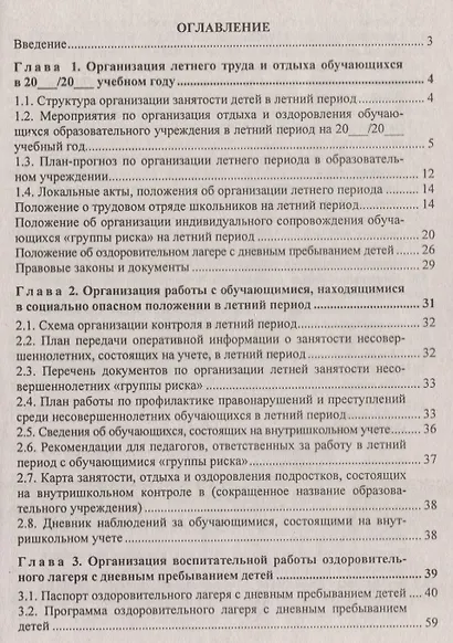 План организации летнего отдыха обучающихся: положения, приказы, презентация в мультимедийном приложении. Книга +CD (Комплект) - фото 2