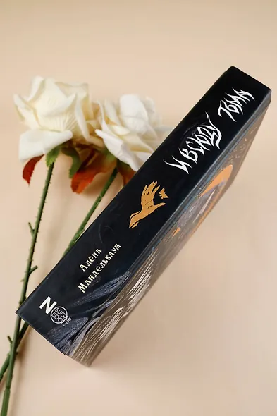 И всюду тьма - фото 12