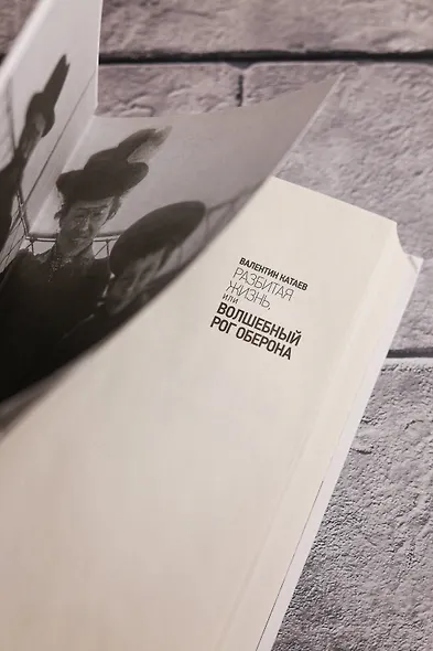 Разбитая жизнь, или Волшебный рог Оберона - фото 14