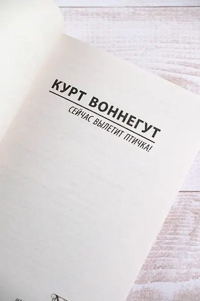 Сейчас вылетит птичка! - фото 7