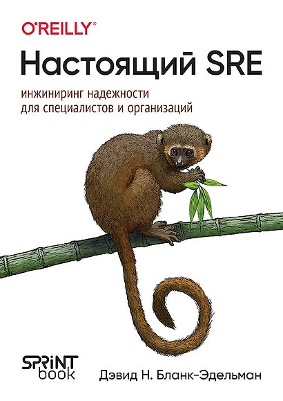 Настоящий SRE: инжиниринг надежности для специалистов и организаций - фото 1