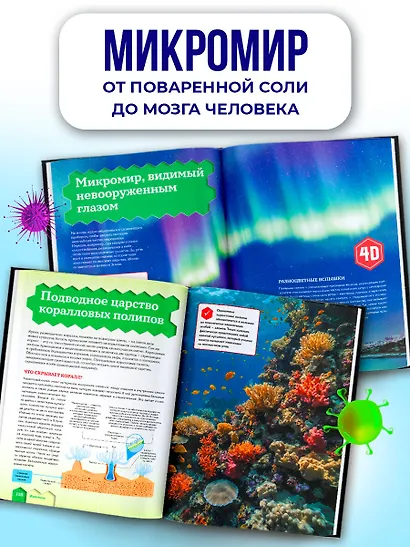 Микромир - фото 5