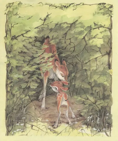 Бэмби. Мультсказка - фото 3