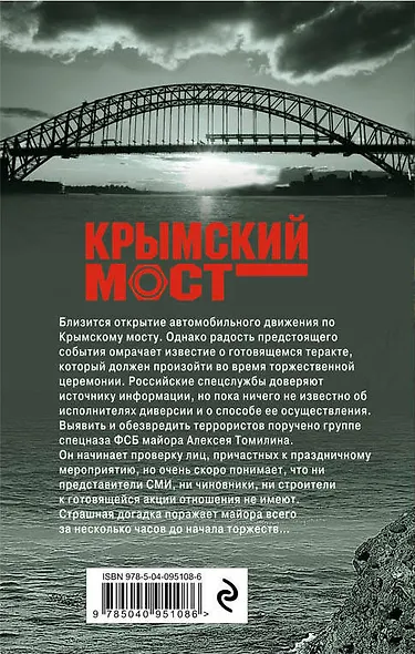 Стальное крыло ангела - фото 2