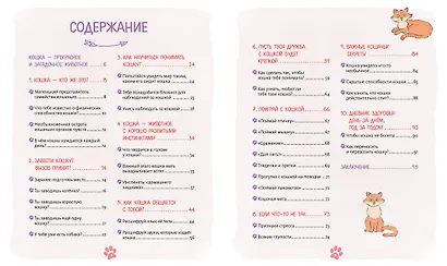 Я и моя кошка. Как понять питомца и стать ему другом - фото 8