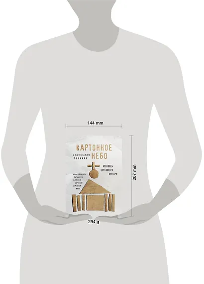 Картонное Небо. Исповедь церковного бунтаря - фото 4