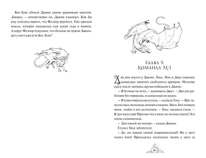 Смарагур. Книга 2. Сделка с драконом - фото 13