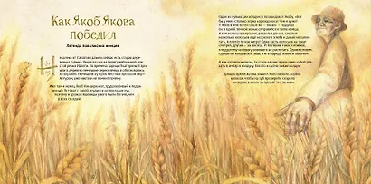 Сказочное Поволжье - фото 6