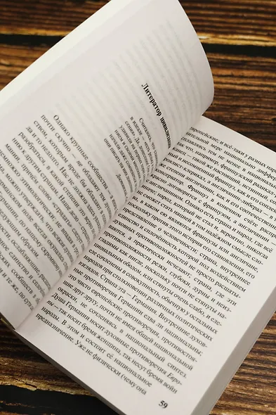 Размышления аполитичного - фото 7