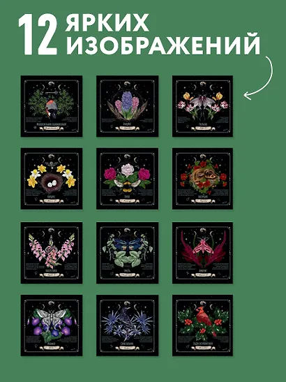 Тайны и магия растений. Календарь настенный на 2027 год (300х300 мм) - фото 4