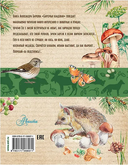 Барсучья кладовая - фото 2