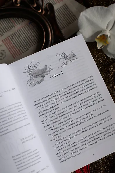 Двенадцать хитростей Ван Ли - фото 10