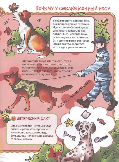 Домашние животные - фото 2